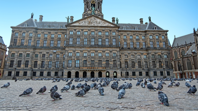 Duiven demonstreren vandaag op de Dam na incident met roze hoedjes