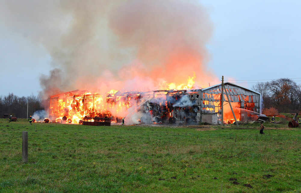 Van der Wal steekt boerderij in brand in poging steun bevolking te winnen