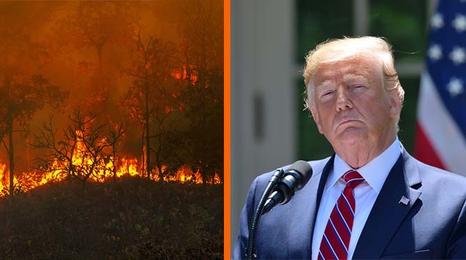 Trump spreekt steun uit aan bosbranden in Europa